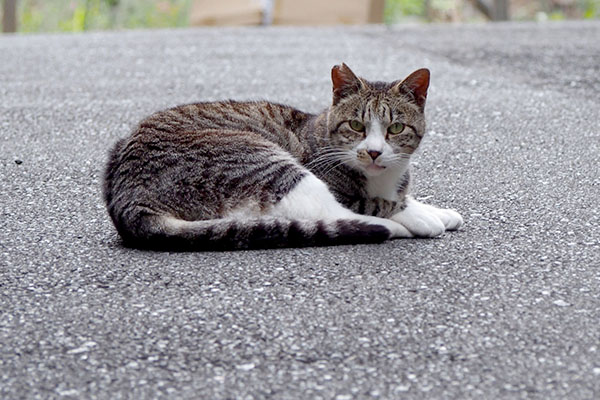 ちょっと接近