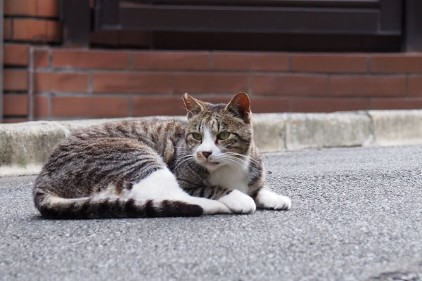 視線はずしブレ