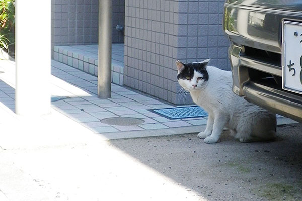 お出掛け中の坊