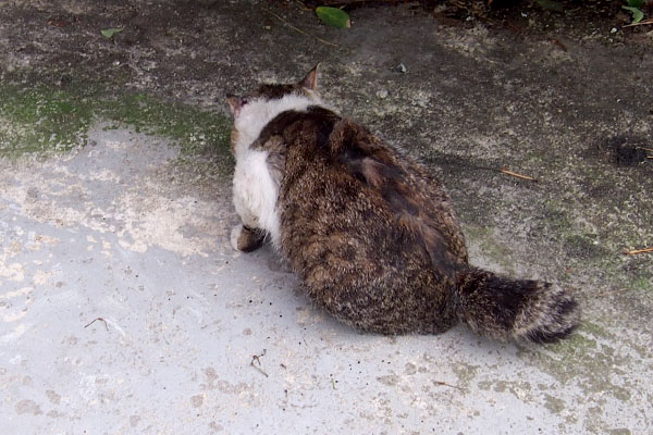 オヤツを食べる背中