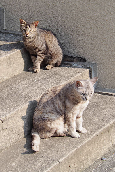 銀とタビワン