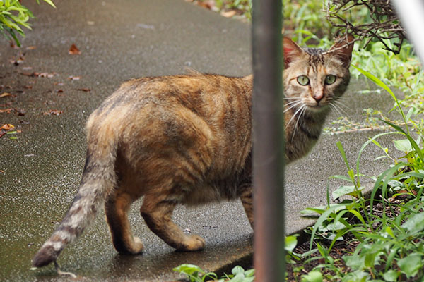 お庭にて