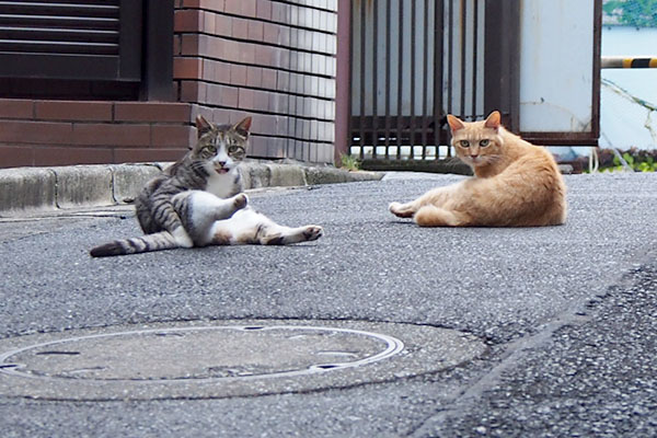 美男美女がこちらを見る