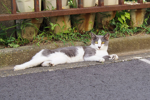 右脚の伸ばし方がステキ姉にゃん