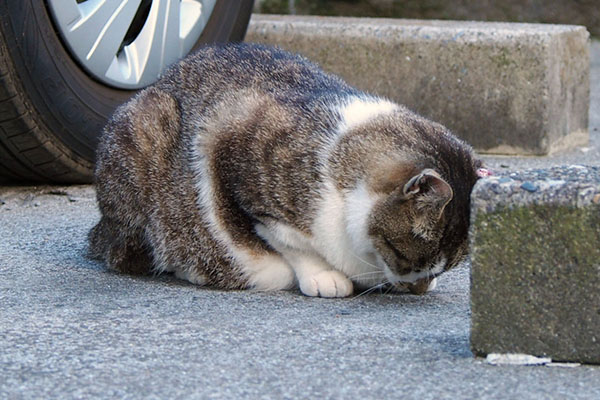 食べる雫斜めから