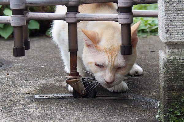 何かに気づく