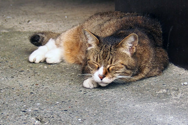 眠いので目は閉じたまま