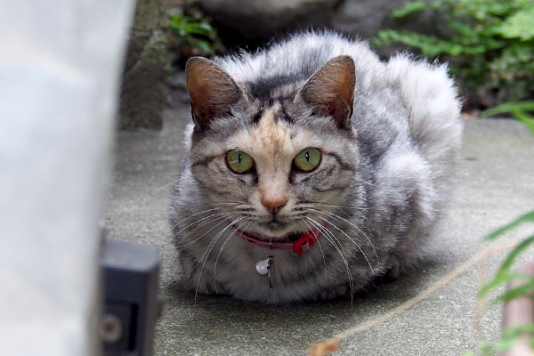 少し明るく撮れた2枚目