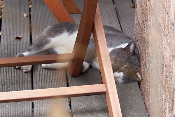 角の部屋にむねまる君