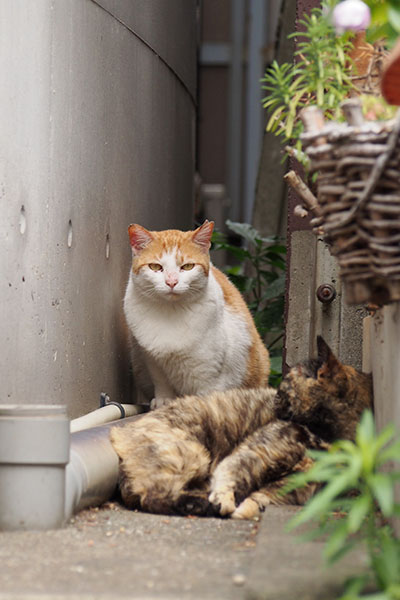 サビーヌと2