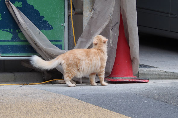 匂いをチェック中