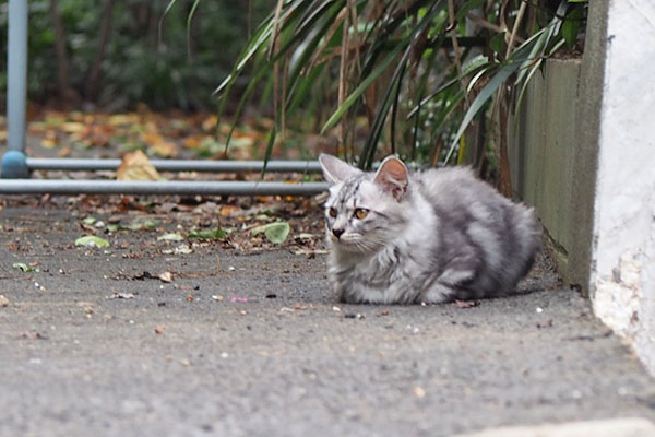 ちんまりと