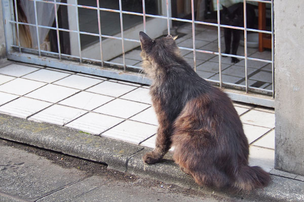 到着キキョウさん出迎え