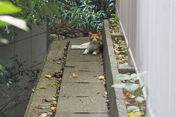 離れた場所に横になる