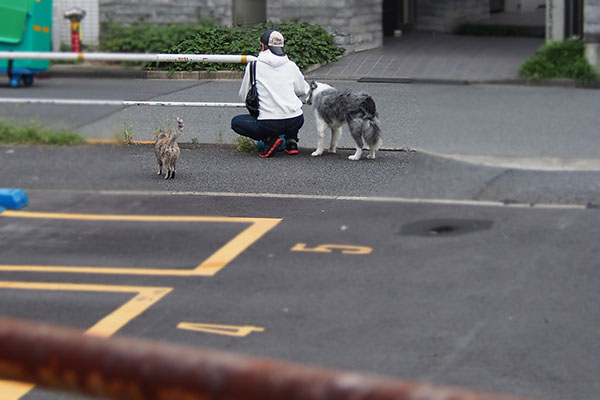 優しいヒトとワンコと銀