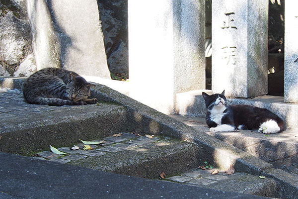 カラとツキ