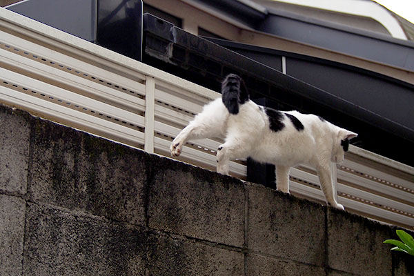 ストレッチの仕上げ