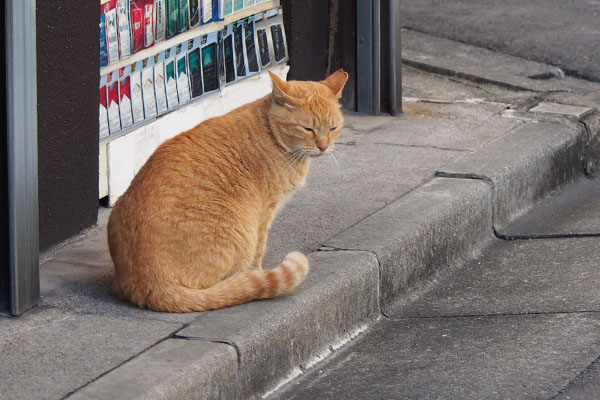 イライラなお耳