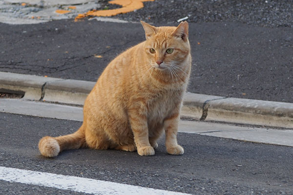 見つめるひま