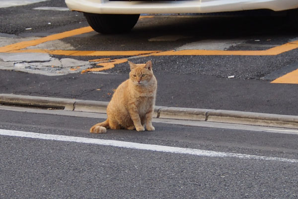 うらめしそうなひま