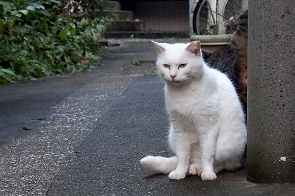 初めて見た眉間のシワハク