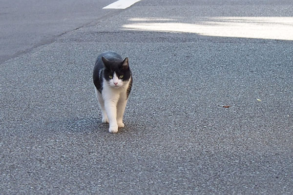 スズちゃんもなかむら邸へ