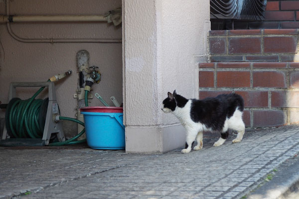 カル基地を確認