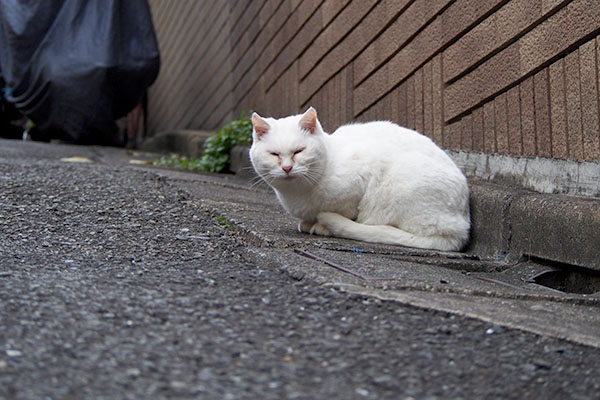 坂を戻って様子を見る