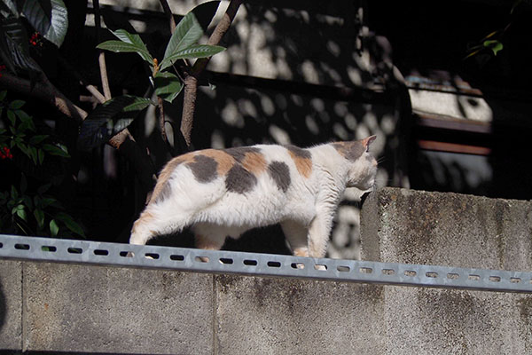 軽く伸び