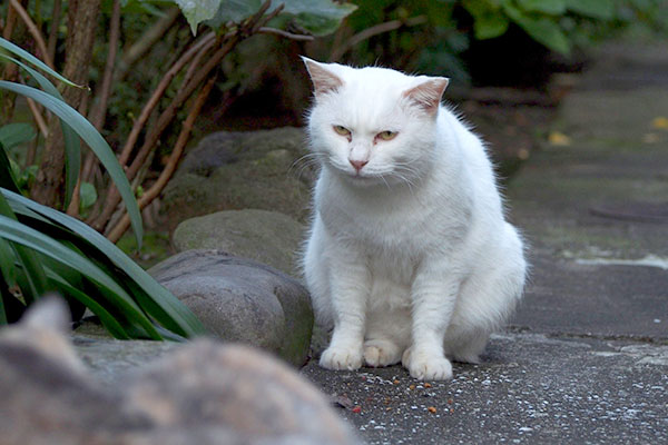 あにゃたさっきぶったよね