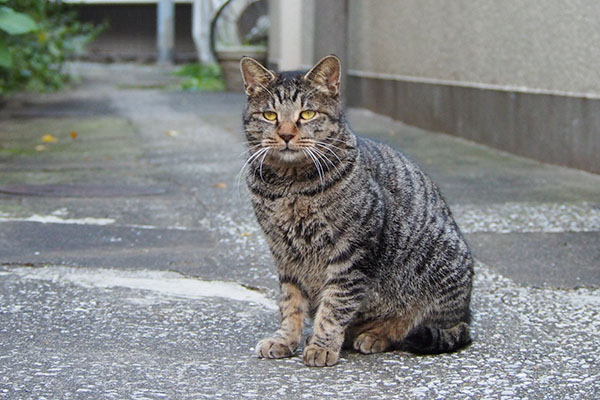 タビワンお座り