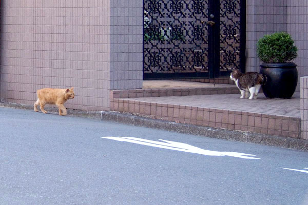 豪邸前に向かったマリィ左から