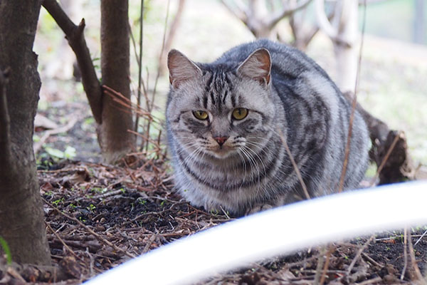 引きこもった