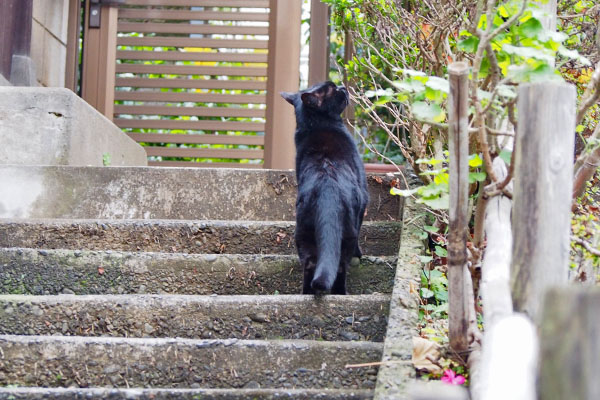 植木さんにご挨拶