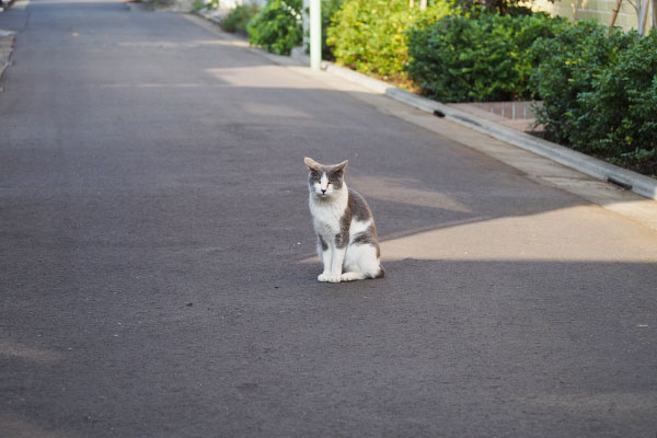 ぽつねん