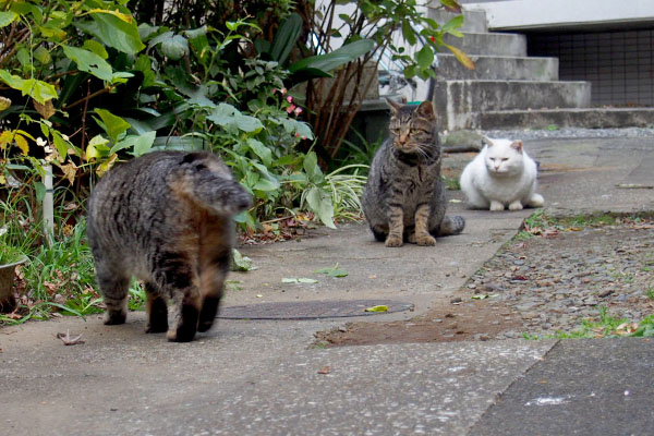 戻るタビゾを見るふたり