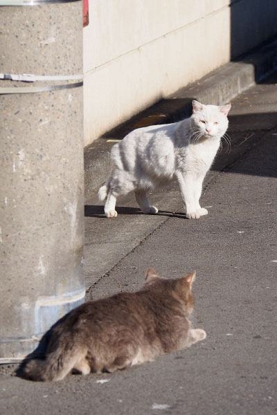 身構えるグリとルシア