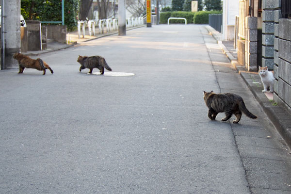 みんな移動開始でプリン登場