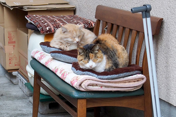 オトワとナリコマ３個起きた