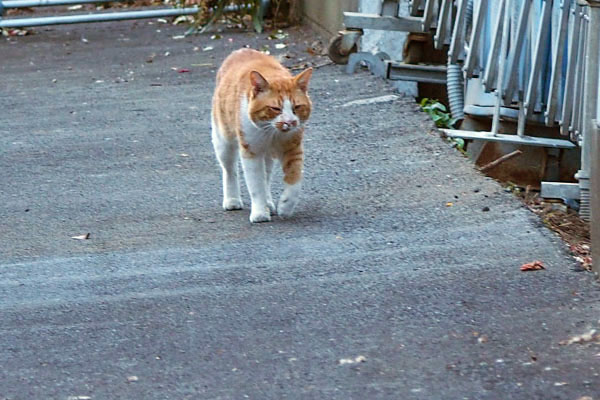 ちょっと偉そうなクライ