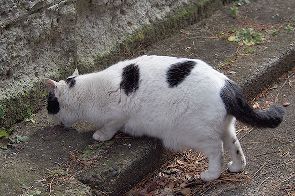 食べる坊3