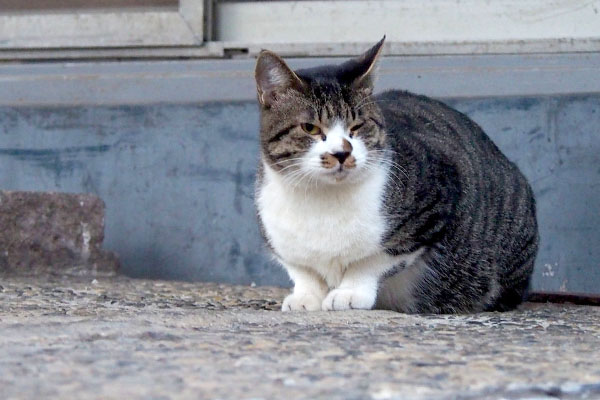 迷惑そうなお顔３か月前