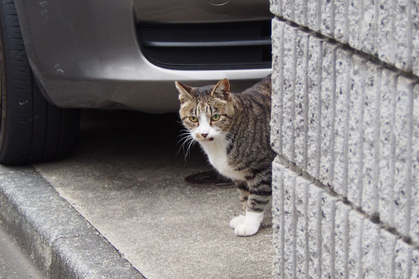 撮るヒトがずれた