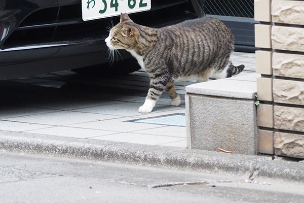 車チェック