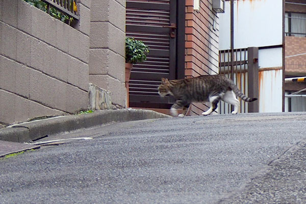 帰宅は早い