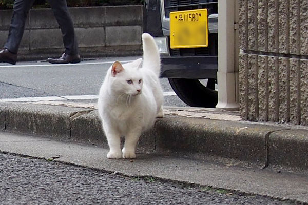 覗きに来たリリ