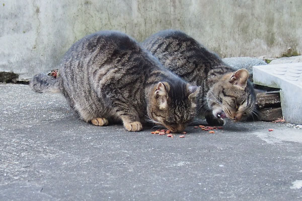 そっくりなふたり