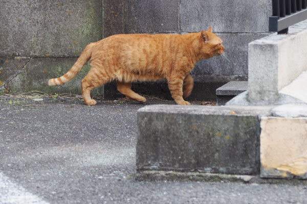 急ぎの用