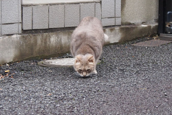 落ちてはいない