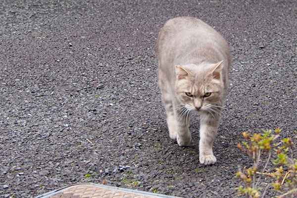 お礼でも言うつもりか